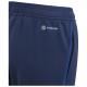 Adidas Παιδικό παντελόνι φόρμας Performance FCGB TR Pants